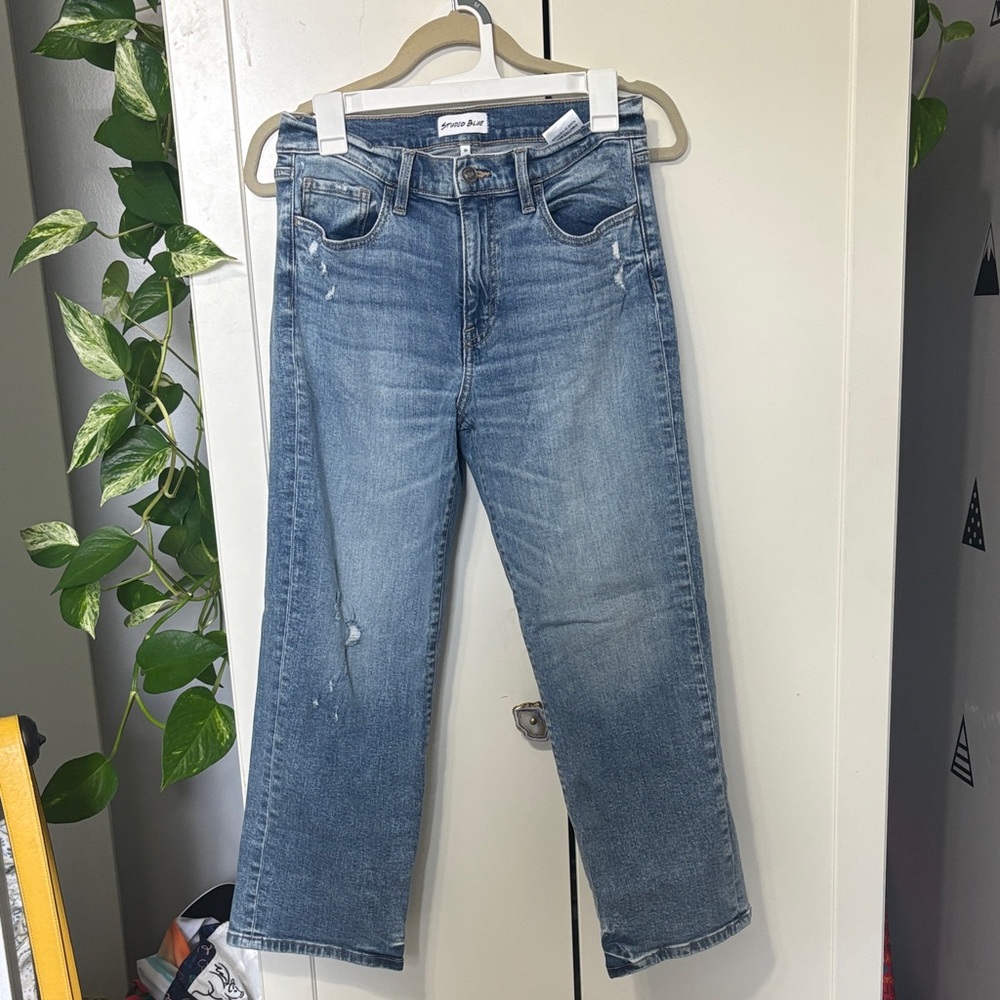 Studio Blue Cropped Ankle Jeans